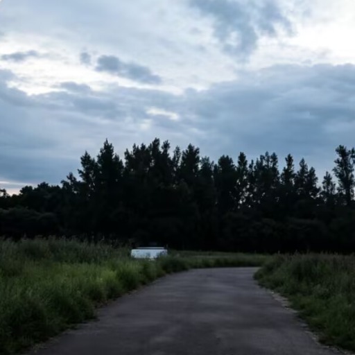 云淡风轻